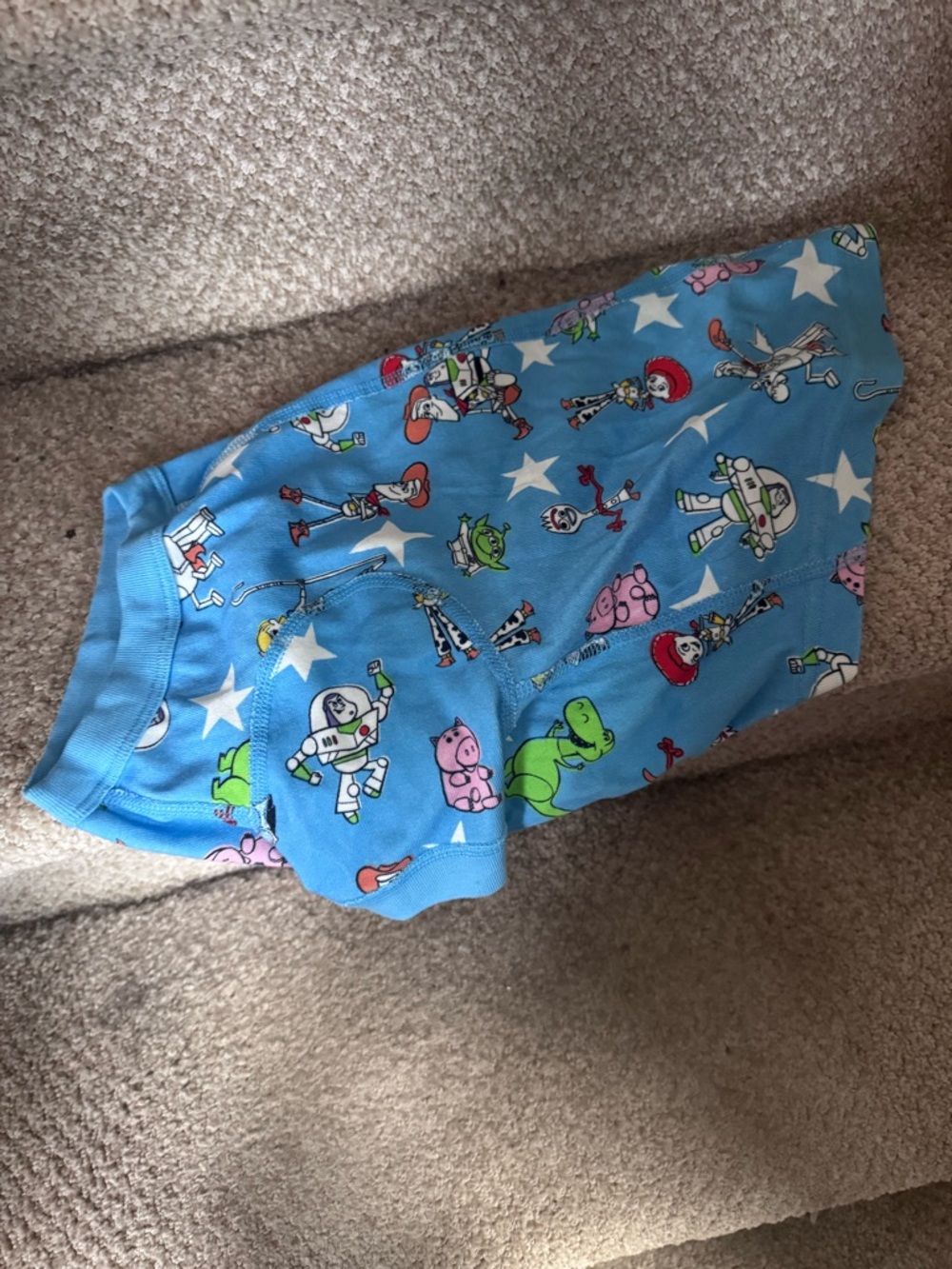 Hanna Andersson dog shirt  with Toy Story Characters